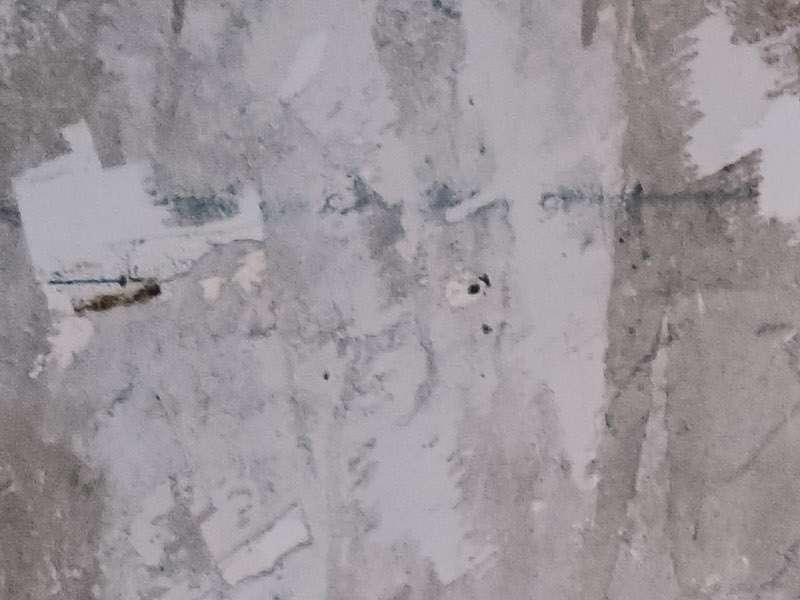 独症患者